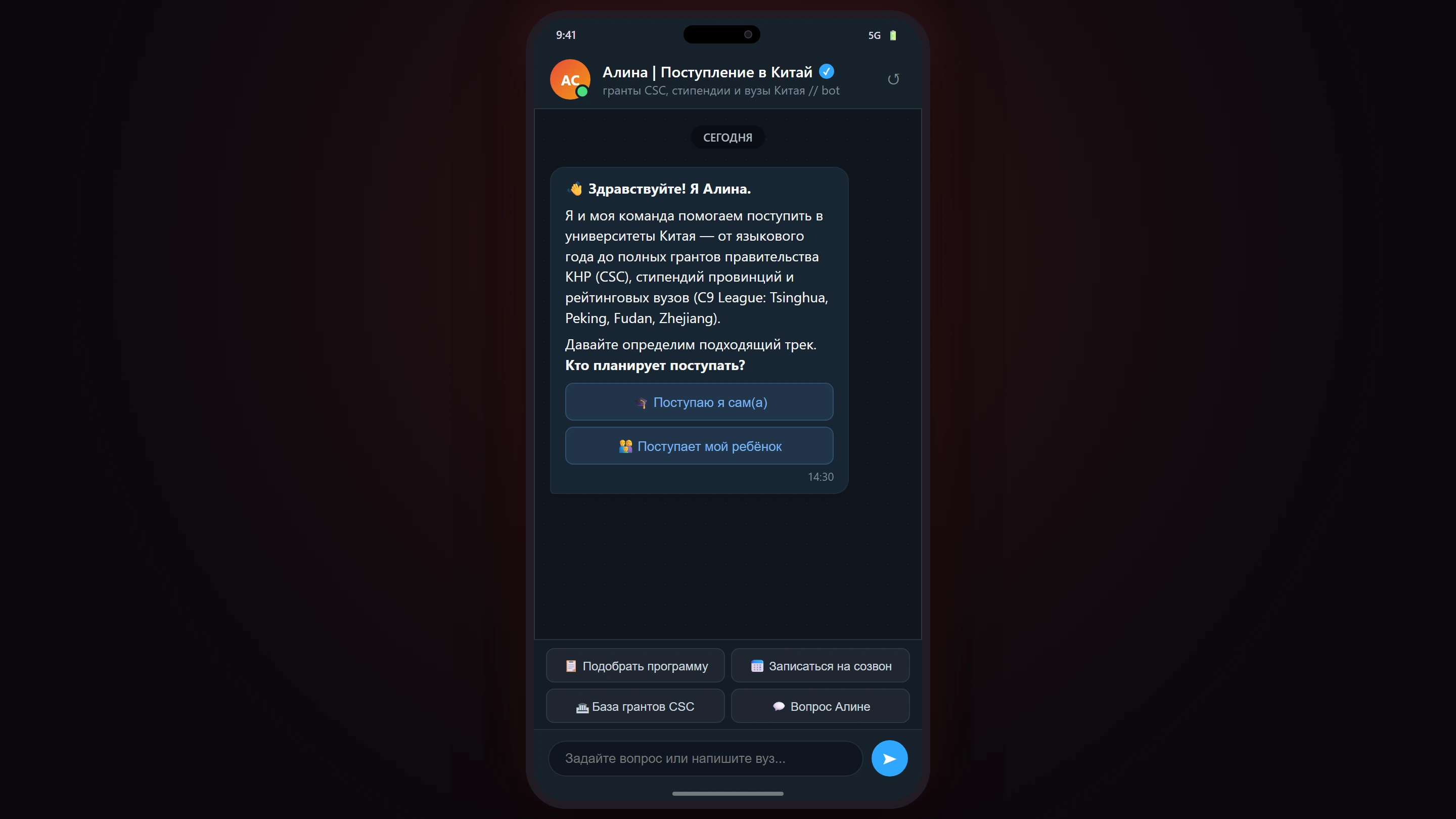 Интерфейс Поступление в Китай